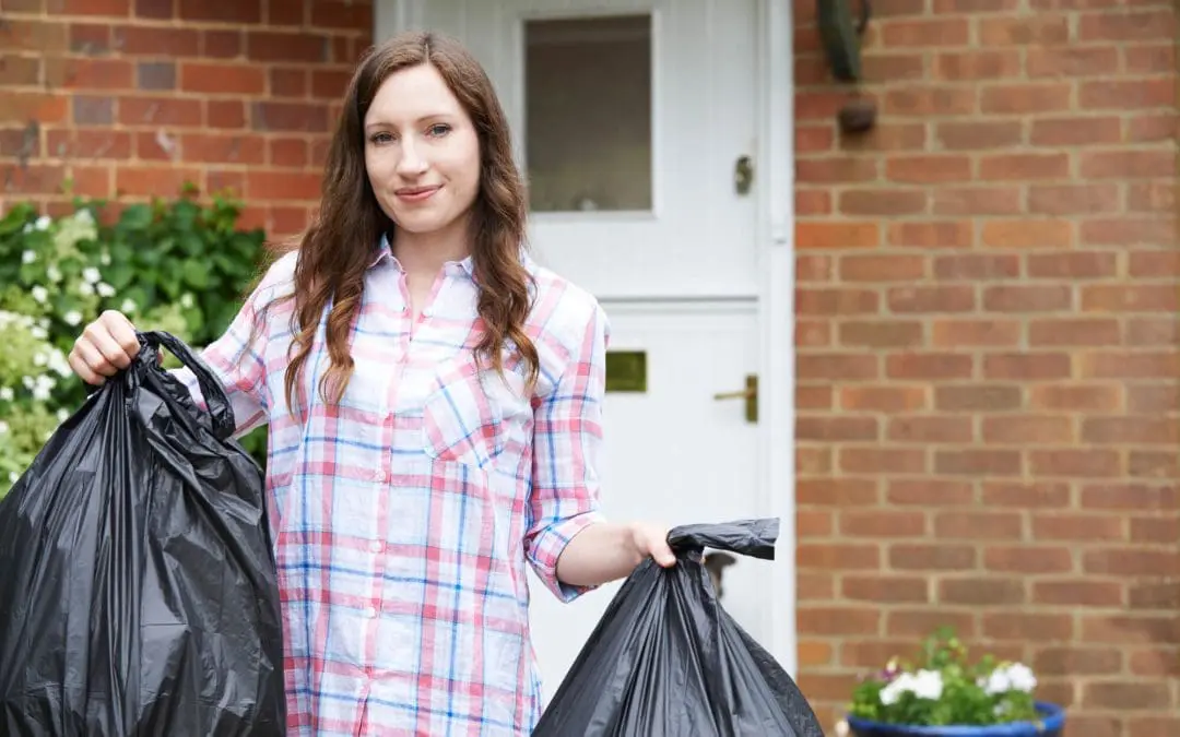 6 Ways to Prevent Pests in Your Home