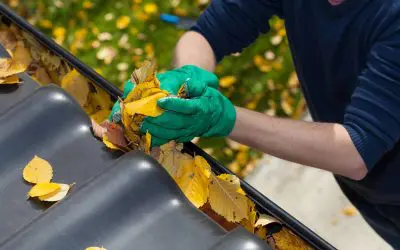 Fall Home Maintenance Tasks Every Homeowner Should Know