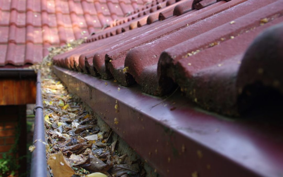 4 Tips for Maintaining Your Roof