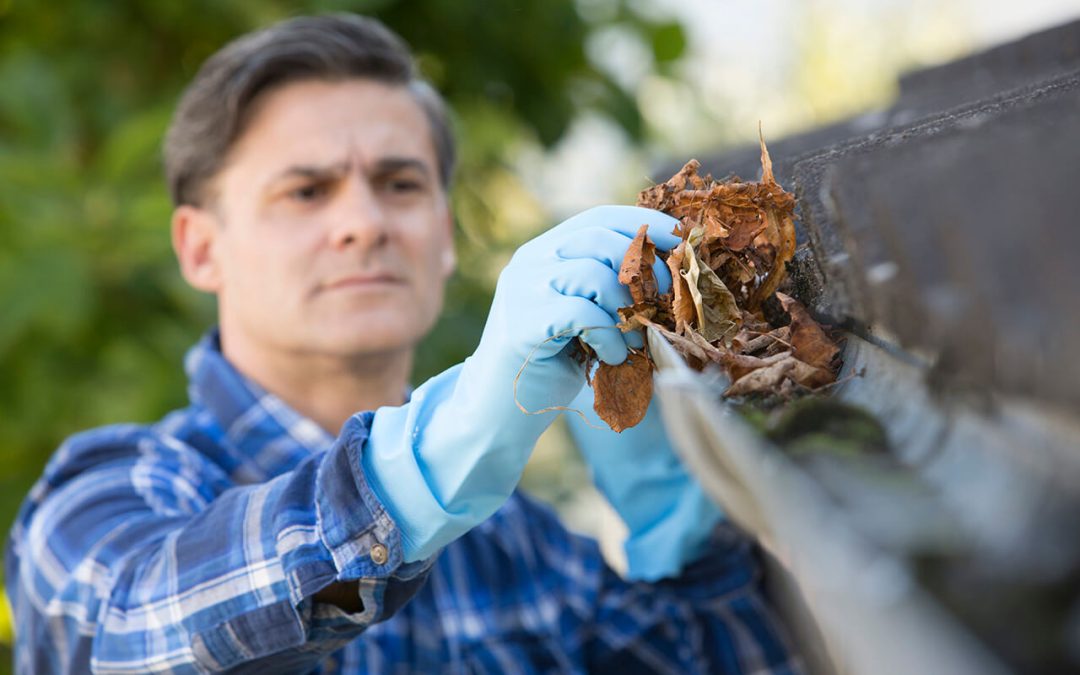 4 Tips to Clean Your Home’s Gutters Safely