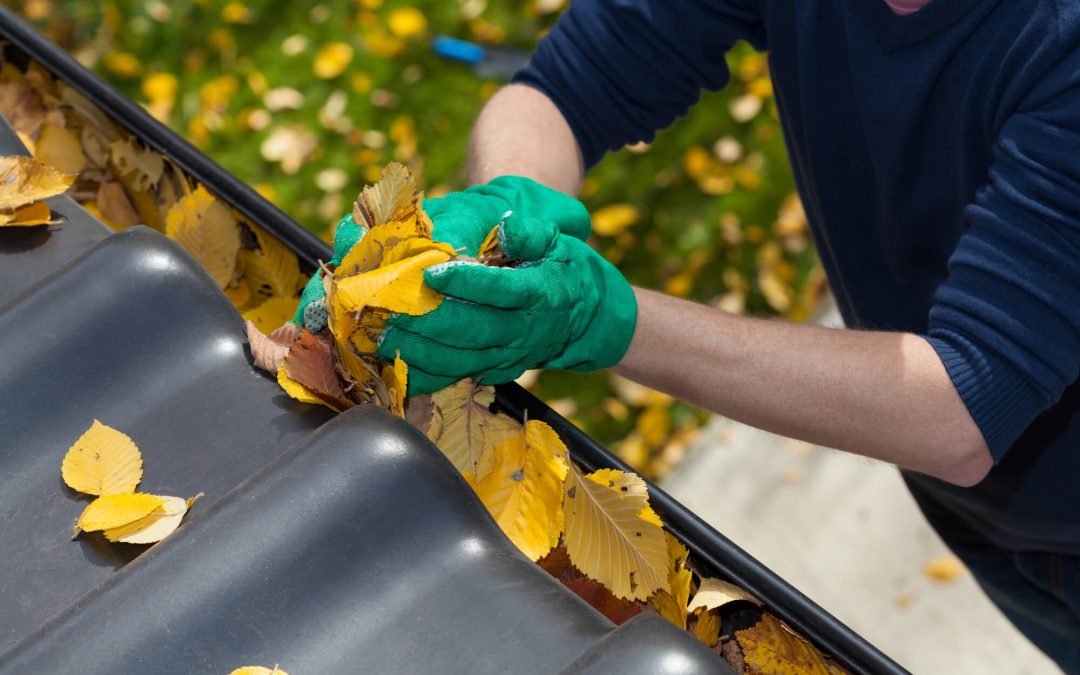 Fall Home Maintenance Tasks